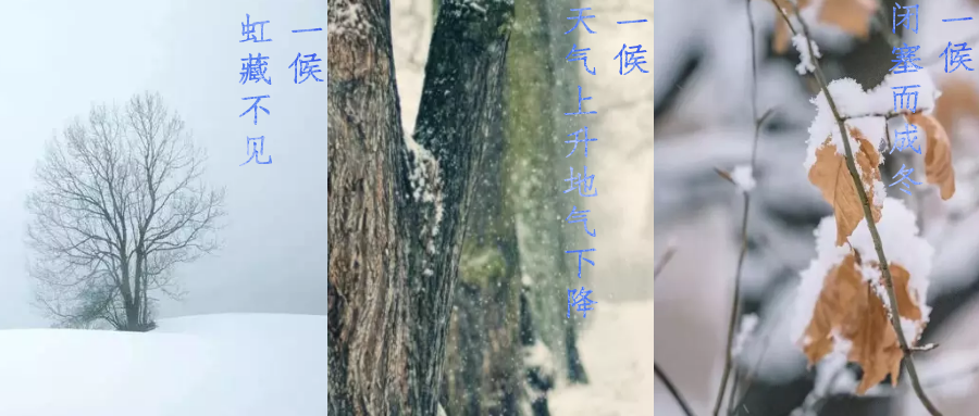 今日小雪，寒潮來襲，洗瓶機來幫你解放雙手吧！